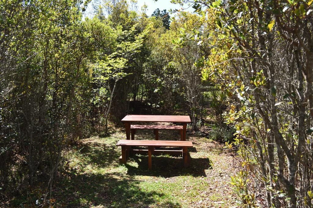 Forest Edge Rheenendal Luaran gambar