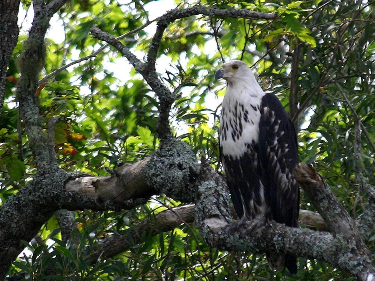Forest Edge Rheenendal Luaran gambar