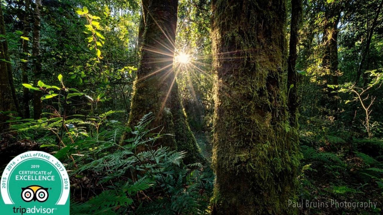 Forest Edge Rheenendal Luaran gambar